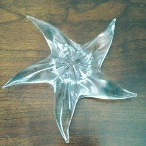Glass Starfish